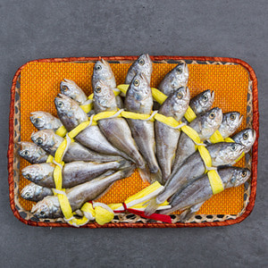 법성포굴비 장줄 4호