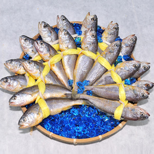 법성포굴비 장줄 6호