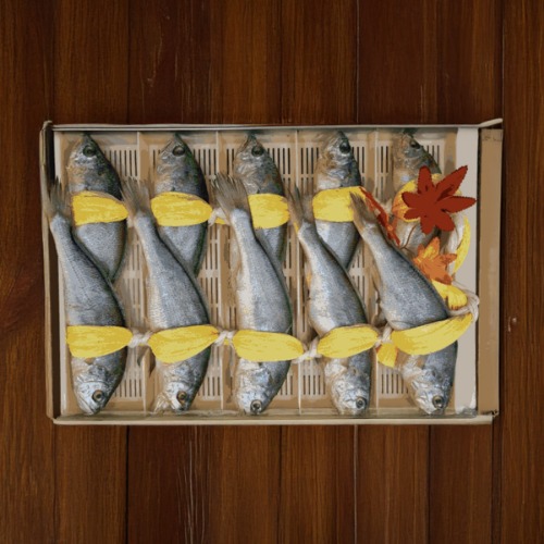 법성포굴비 오가 5호