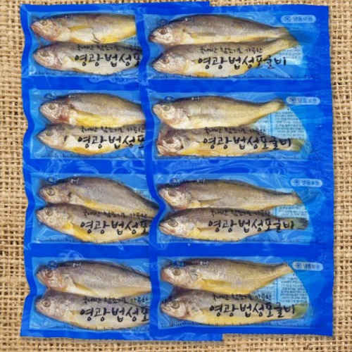 진공포장 굴비(16미)