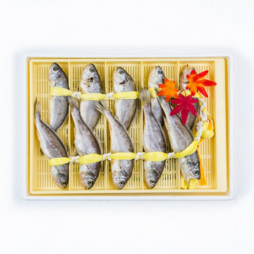 법성포굴비 오가 3호